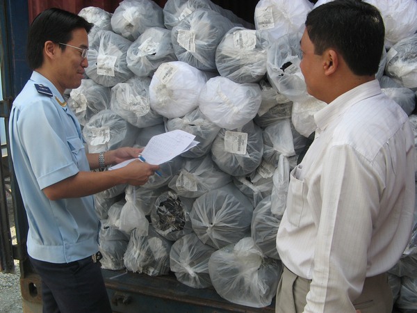 Phát sinh vướng mắc về sản xuất xuất khẩu