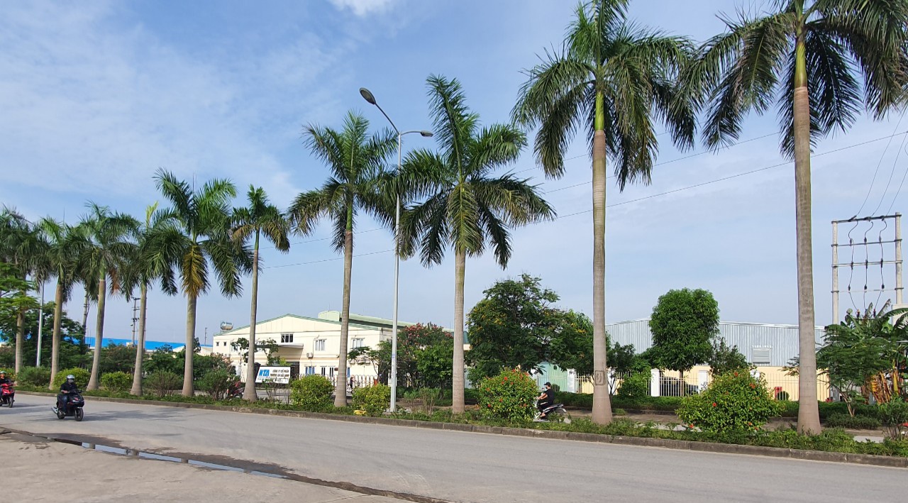 Toàn cảnh nhà máy NTA